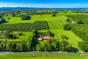 LENNOX PROPERTY AGENTS _ SALES _ 414 ELLIS ROAD, ROUS _ LOCATION SHOT