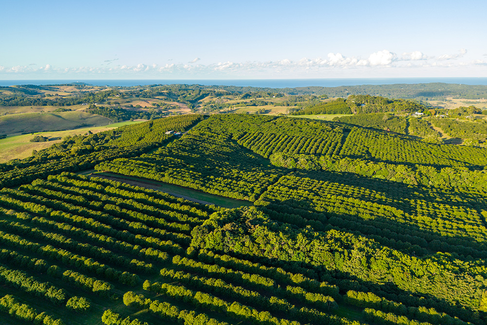 Lennox-Property-Agents_Hinterland
