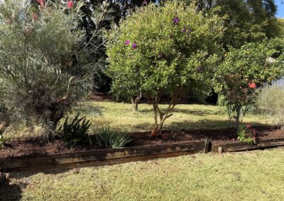12 Tanamera Dr, Alstonville - Backyard