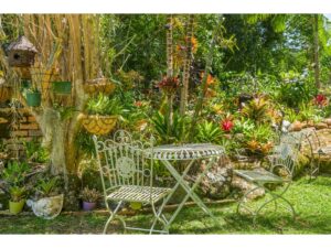 7A Nixon Pl, Skennars Head - Garden